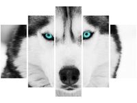 product-compare-58696122