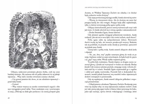 Antek Cwaniak na Arena.pl