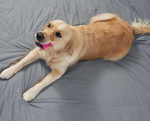 Koc chłodzący ACCURATEX 240 x 220 cm lekki oddychający letni Q-Max > 0,45 na Arena.pl