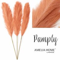 PAMPAS/AH/PAMPLY/PEACH/110CM/3PCS