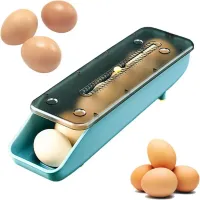 Pojemnik pudełko na jajka organizer do lodówki podajnik do jajek