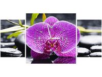 80X40CM ZEGAR ORCHIDEA OBRAZ