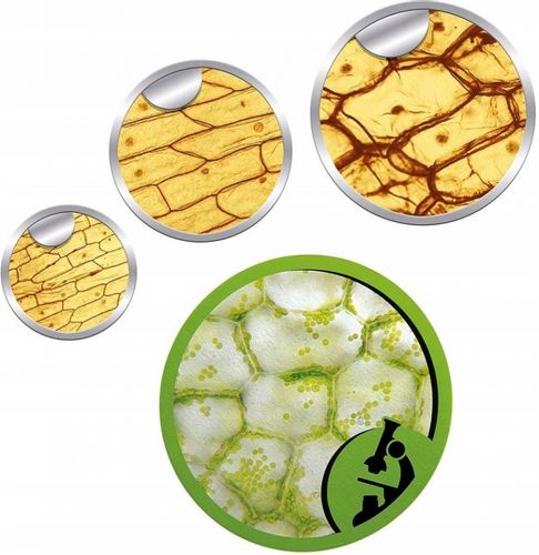 Mikroskop Naukowa Zabawa Clementoni az 50 doświadczeń na Arena.pl