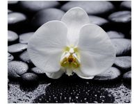 60X50CM BIAŁY STORCZYK OBRAZ ŚCIAN DREWNIANE