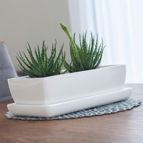 Kaktusiarka Ceramiczna 27cm doniczka biała eco na Arena.pl