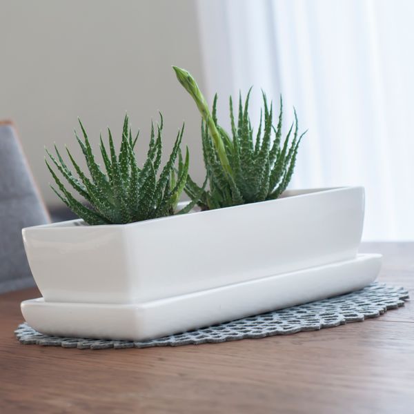 Kaktusiarka Ceramiczna 27cm doniczka biała eco zdjęcie 5