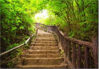 100 70CM OBRAZ PŁÓTNO SCHODAMI GÓRĘ PŁÓTNO RAMA