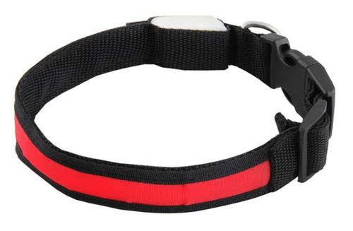 Obroża LED czerwona - S na Arena.pl