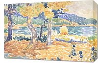 Obraz 60x40cm Pines, Henri-Edmond Cross Vintage do Salonu