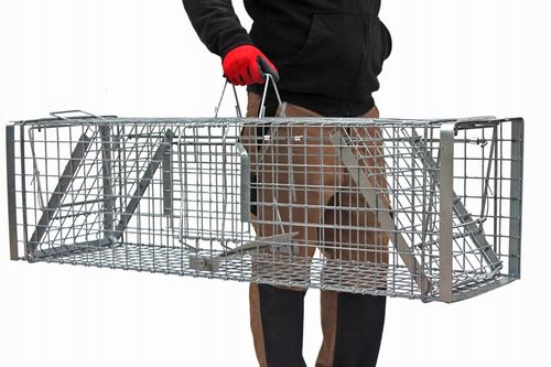 ZYWOŁAPKA PUŁAPKA NA KUNY LISY KOTY BOBRY WYDRY na Arena.pl