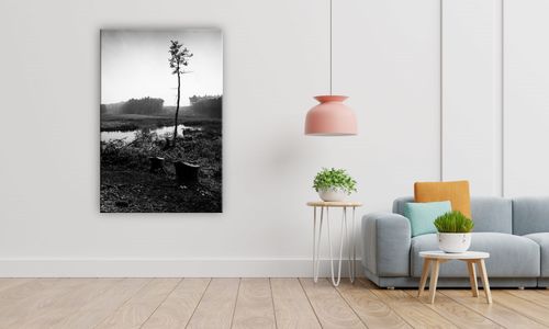 OBRAZ NA PŁÓTNIE 093 Sosna 70x100cm na Arena.pl