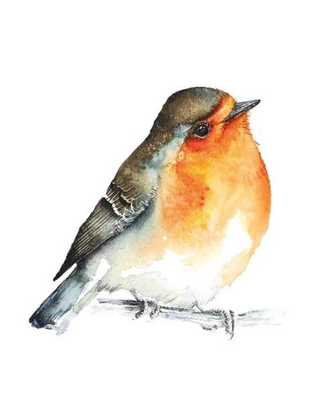 Gra Łąka (Meadow) PL zdjęcie 9