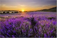 product-compare-58693747