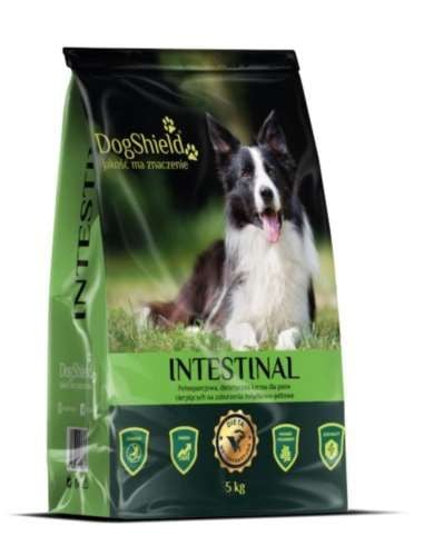 Dogshield dog intestinal 5kg na Arena.pl