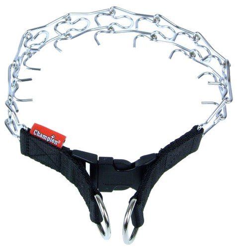 Champion Kolczatka [1T] na Arena.pl