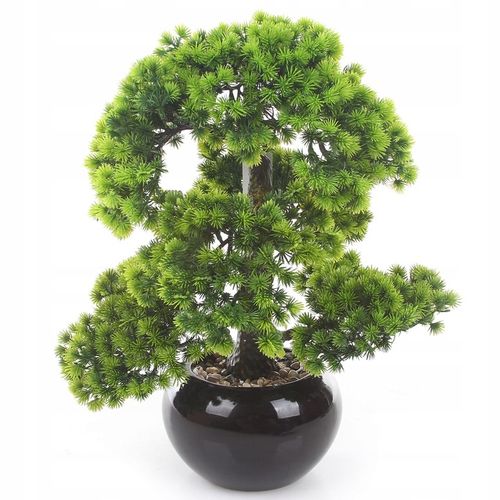 sztuczne drzewko BONSAI LARCH 48x35 modrzew w ceramicznej czarnej doniczce na Arena.pl