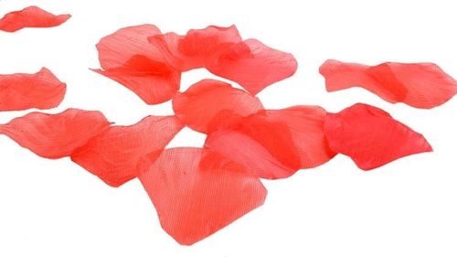 Płatki róż 500 szt. na Arena.pl