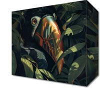 Obraz 20x20cm Skryty Tukan