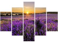 70 100CM OBRAZ 5 ELEM POLE LAWENDY DRUK PŁÓTNO