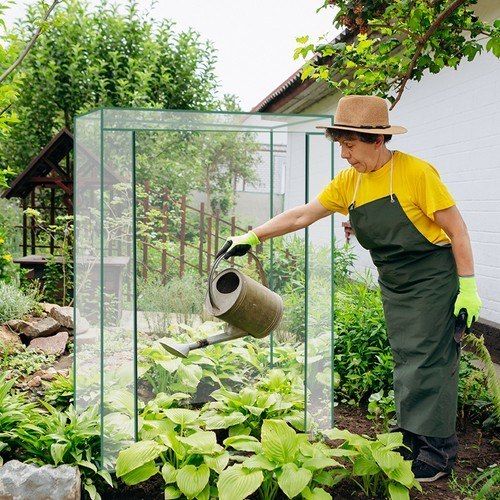 Szklarnia foliowa mini 23358 na Arena.pl
