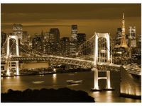 50X70CM RAINBOW BRIDGE TOKIO OBRAZ POKOJU DREWNINE