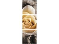 90X30CM DELIKATNA RÓŻA TRÓJ OBRAZ DRUK