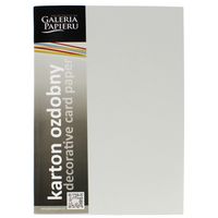 KARTON OZDOBNY GŁADKI JASNOSZARY SATYNOWY 210G GALERIA PAPIERU