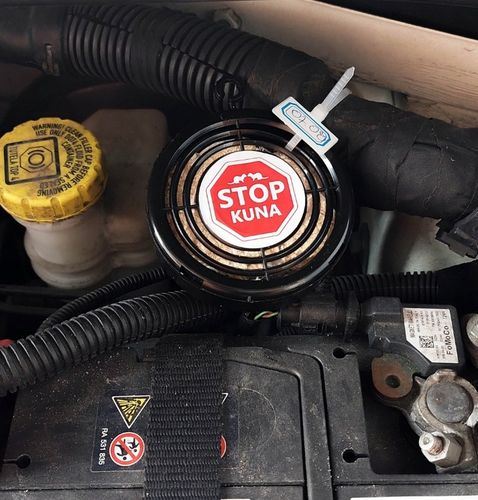 ODSTRASZACZ KUN SKUTECZNY NA ALLEGRO ŚRODEK NA KUNY DO SAMOCHODU na Arena.pl