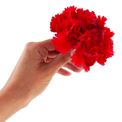 Goździk Wyrobowy Główka Sztuczne Kwiaty Jak Żywe Do Stroików Czerwony na Arena.pl