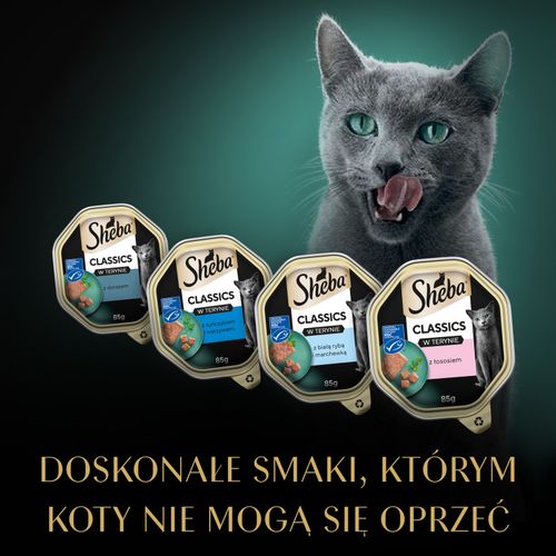 sheba® classics rybne smaki 32x85g na Arena.pl