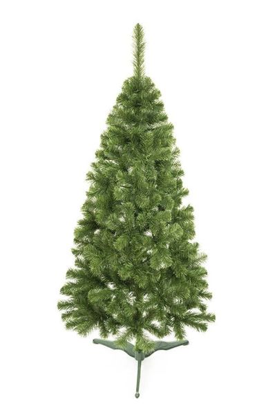 Choinka 150cm naturalna Sosna zdjęcie 5