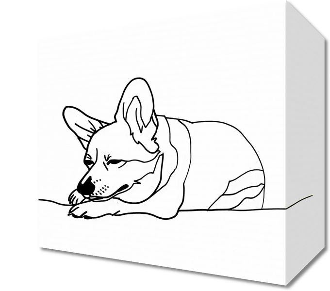 Obraz 20x20cm Śpiący Corgacz zdjęcie 1