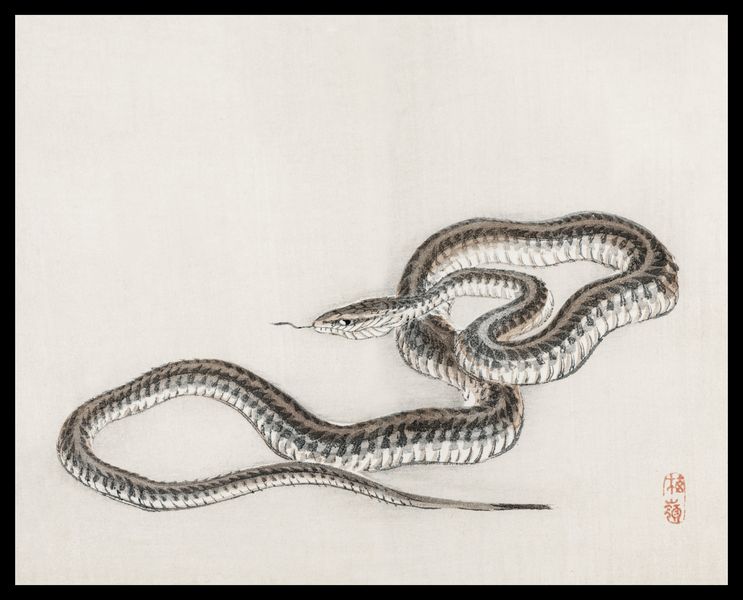 Plakat 50x40cm Snake, Kōno Bairei zdjęcie 2