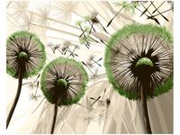 product-compare-58645604