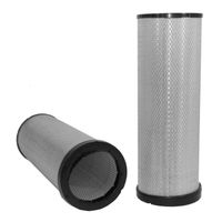 WIX 42848 - Filtr powietrza RS4629 P781102 AF26208 SA16354 SL81283 VPD7634