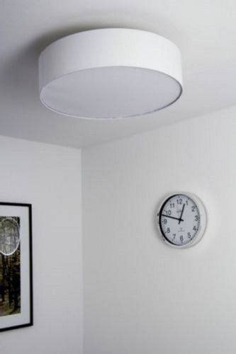 Plafoniera Abi 603900301-Trio na Arena.pl