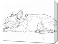 Obraz 50x40cm Śpiący Psiak