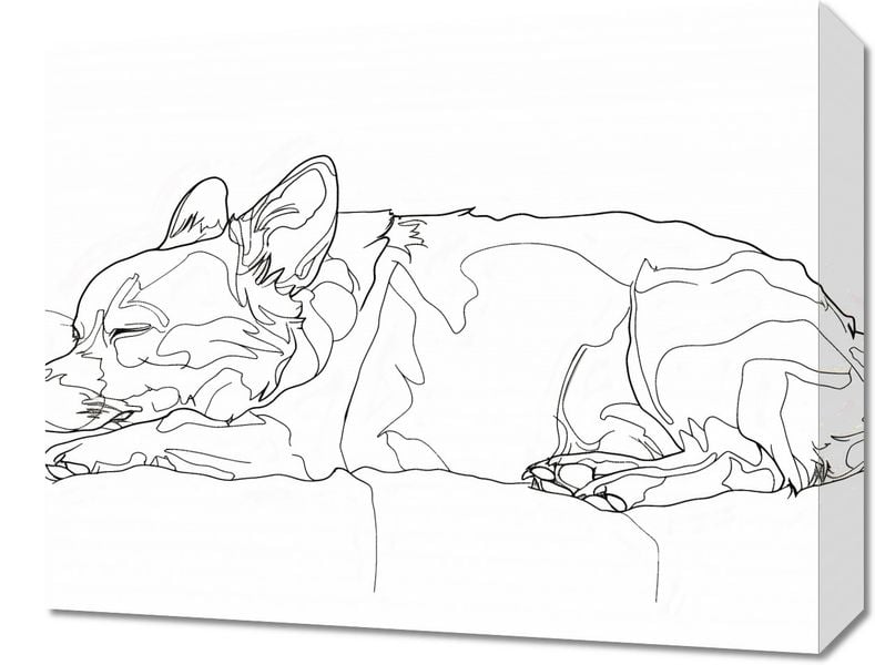 Obraz 50x40cm Śpiący Psiak zdjęcie 1