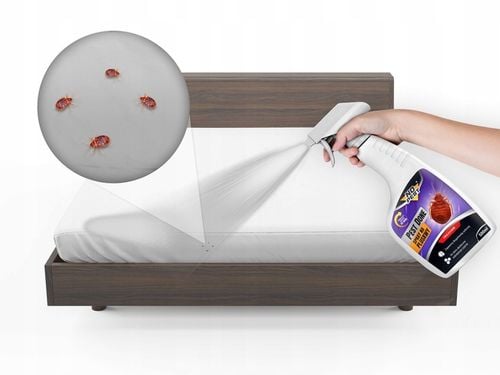 MOCNY ŚRODEK SPRAY PREPARAT NA PLUSKWY PRUSAKI 500ML 2 SZTUKI na Arena.pl