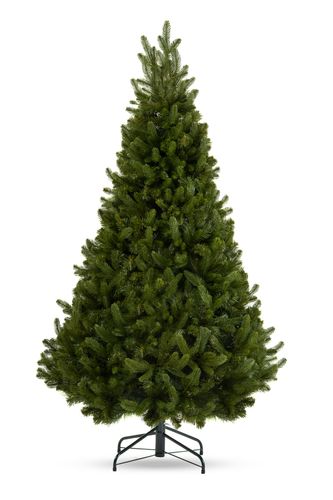 Choinka Jodła Szlachetna 180cm na Arena.pl