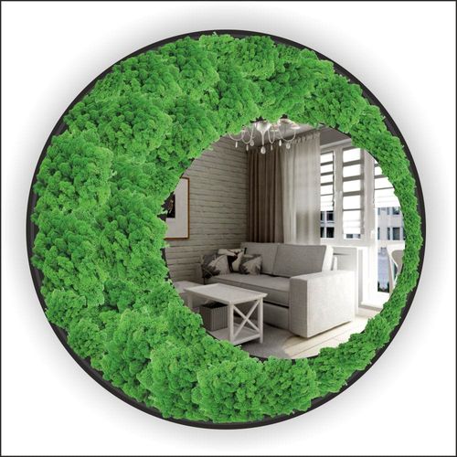 Eco Lustro z Mchem na Arena.pl