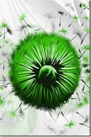 80CM 120 OBRAZ ZIELONE DMUCHAWCE 5 ŚCIENNY