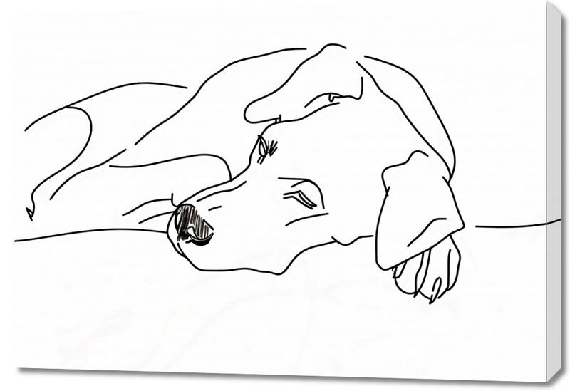 Obraz 100x70cm Wypoczynek Psiaka zdjęcie 1