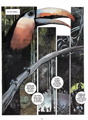 Toppi. Kolekcja. Tom 3: Ameryka Południowa na Arena.pl