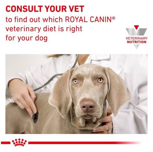 Royal Canin Veterinary Diet Canine Gastrointestinal Low Fat Small 1,5Kg na Arena.pl