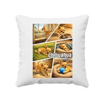 Chihuahua life - poduszka na prezent z pieskiem