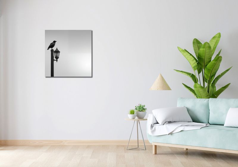 Obraz 60x60cm Samotny Postój Kruka zdjęcie 2