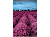 product-compare-58653099