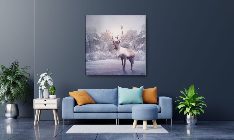 OBRAZ NA PŁÓTNIE 087 Renifer 50x50cm zdjęcie 4