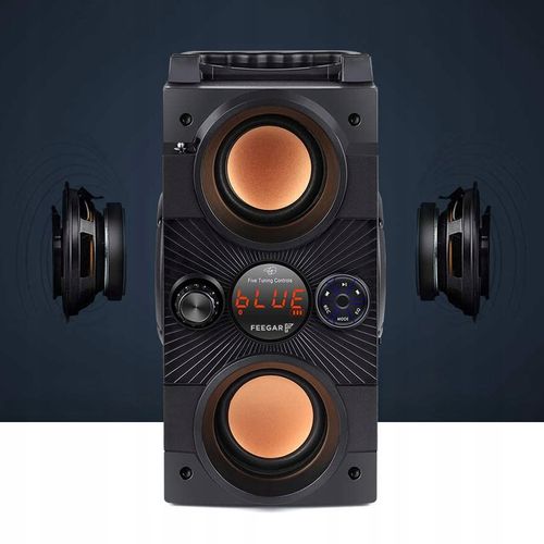 Głośnik przenośny Feegar DANCE czarny 30 W bluetooth na Arena.pl